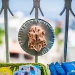 Casa Papiro B&B 4*
