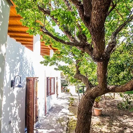 Casa Papiro ליפארי