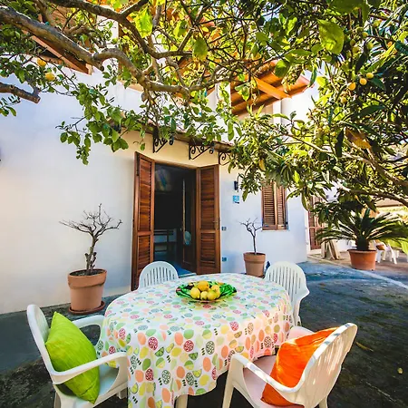 Bed & Breakfast Casa Papiro