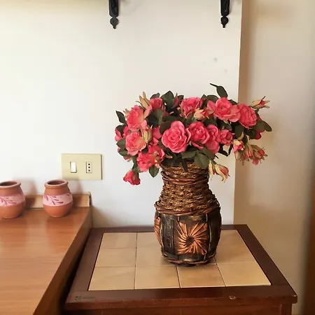 Casa Papiro 4* リーパリ