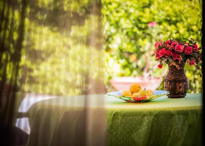 Bed & Breakfast Casa Papiro